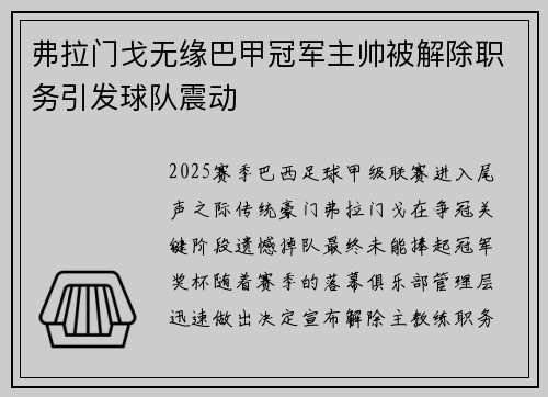 弗拉门戈无缘巴甲冠军主帅被解除职务引发球队震动 弗拉门戈无缘巴甲冠军主帅被解除职务引发球队震动